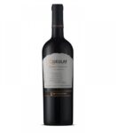 VINO VENTISQUERO QUEULAT GRAN RVA SYR 750CC