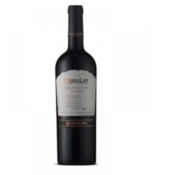VINO VENTISQUERO QUEULAT GRAN RVA SYR 750CC
