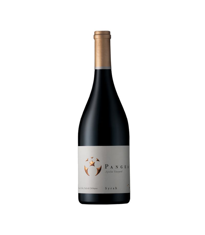 VINO VENTISQUERO PANGEA SYR 1.5LT VINO VENTISQUERO PANGEA SYR 1.5LT