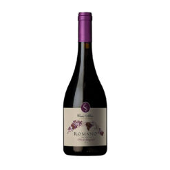 VINO CASA SILVA ROMANO PARRAS VIEJAS 1992 750CC