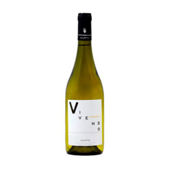VINO CALYPTRA VIVENDO CHAR 750CC