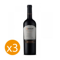 VINO VENTISQUERO QUEULAT GRAN RVA X3